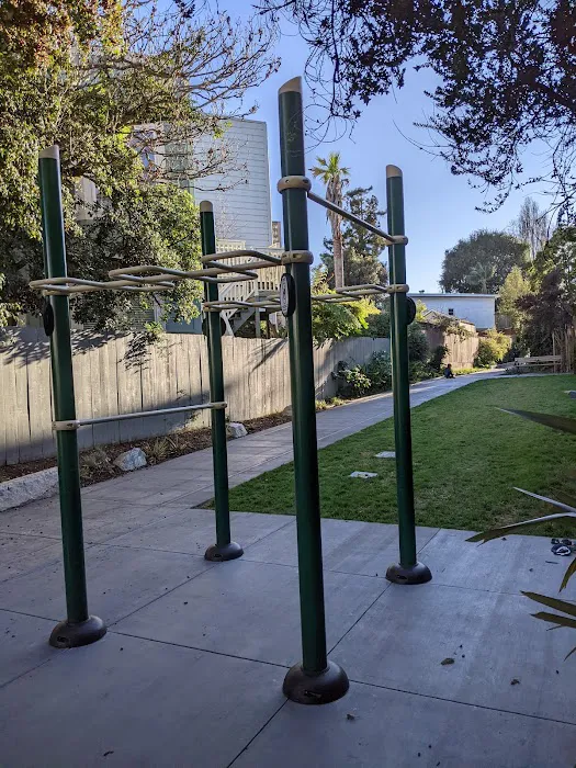 Workout Bars Picture 4