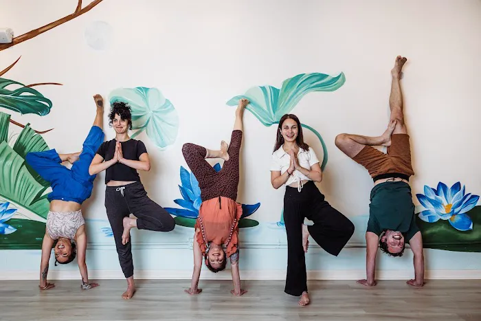 Lotusland Yoga SF Picture 3