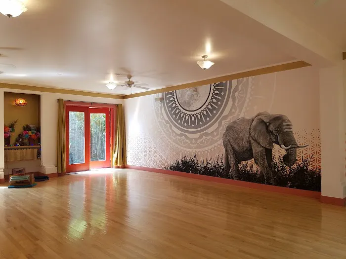 Lotusland Yoga SF Picture 5