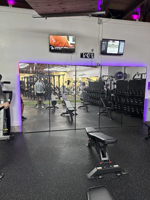 Trainability - Potrero Hill Picture 7