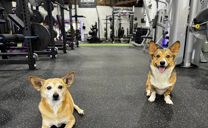 Trainability - Potrero Hill Picture 3