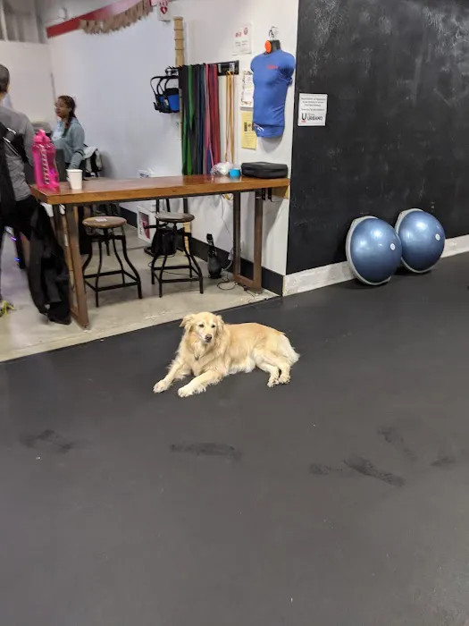 Fitness Urbano Picture 9