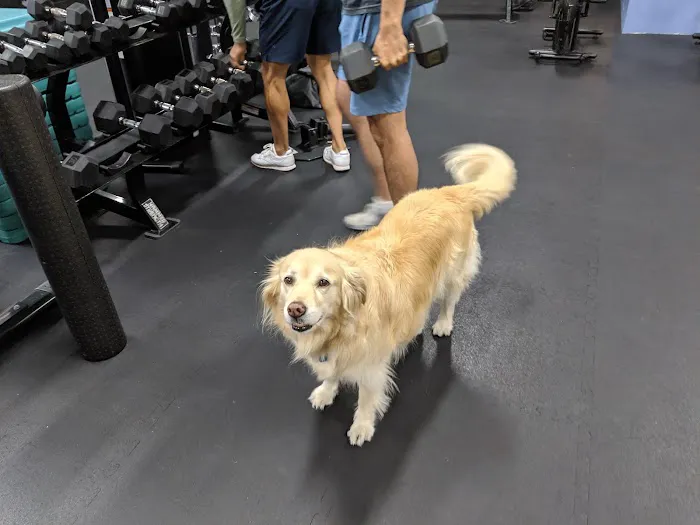 Fitness Urbano Picture 1