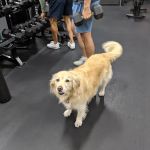 Fitness Urbano