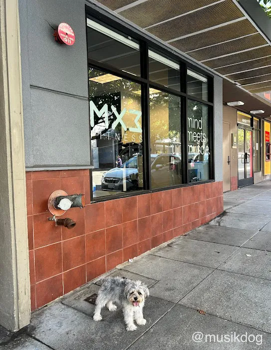 MX3 Fitness Picture 2