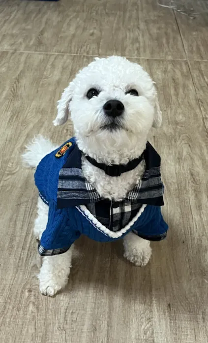 Pacifica Beach Yoga Picture 5