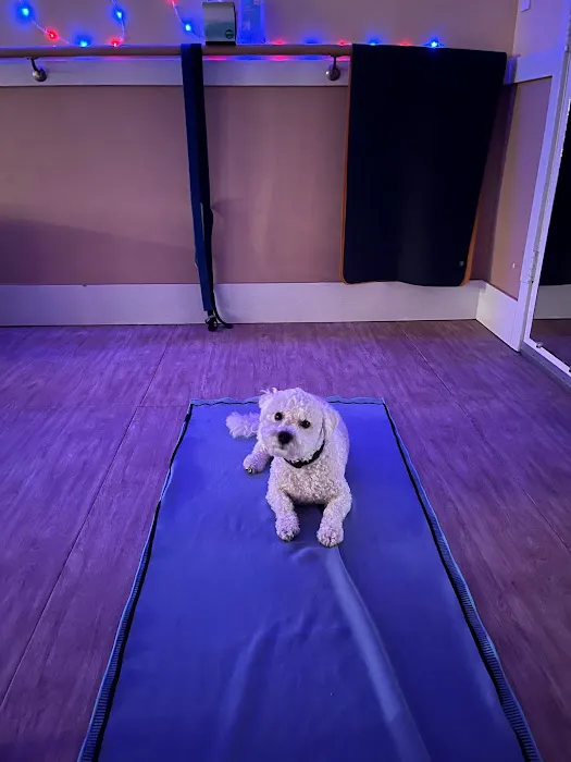 Pacifica Beach Yoga Picture 2