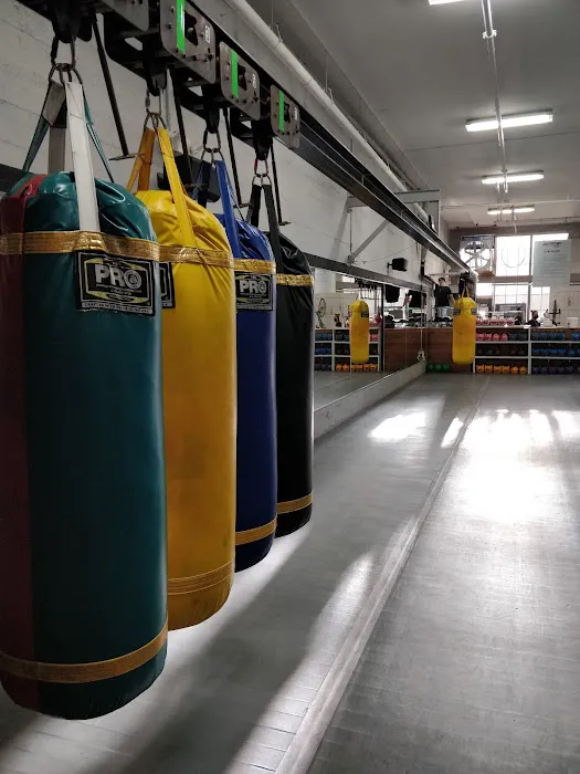 Hit Fit SF Picture 2