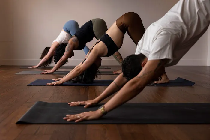 Folk Yoga Mission Picture 6