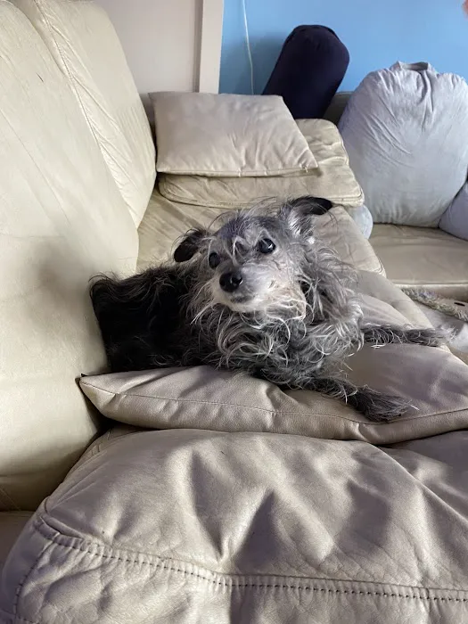 New Mission Yoga Picture 2