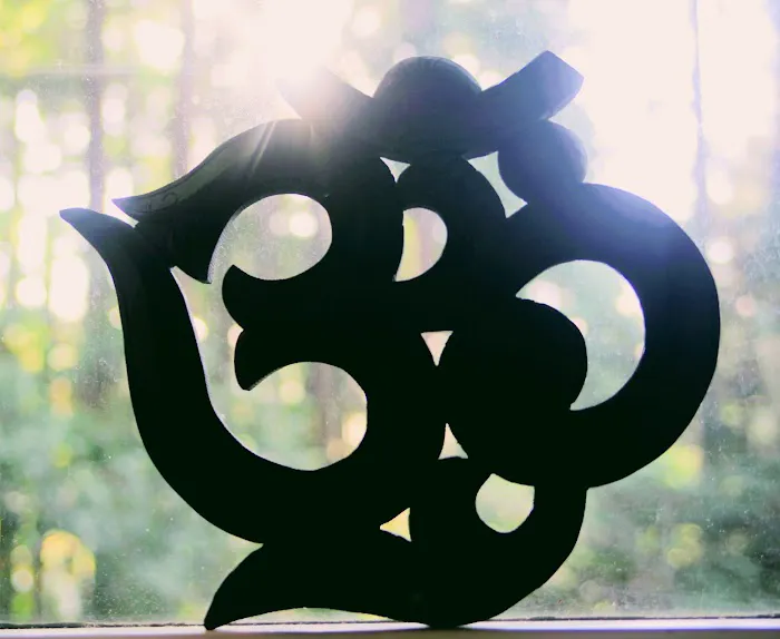 Integral Yoga Institute San Francisco Picture 2