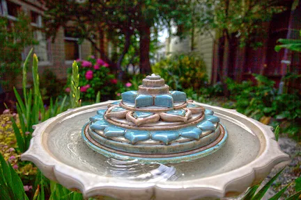 Integral Yoga Institute San Francisco Picture 1