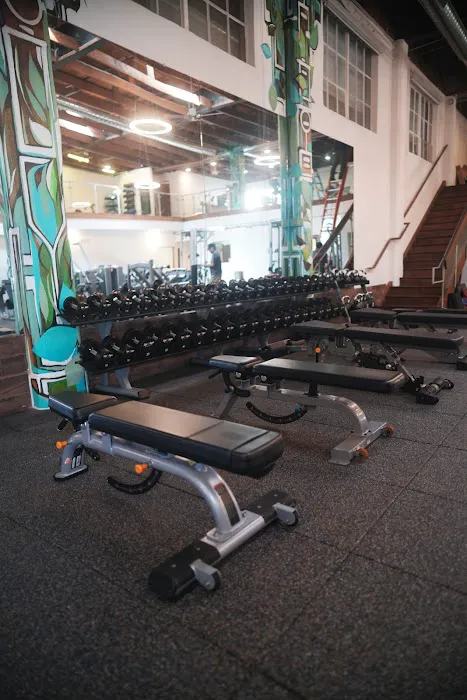 Live Fit Gym - Mission Picture 7