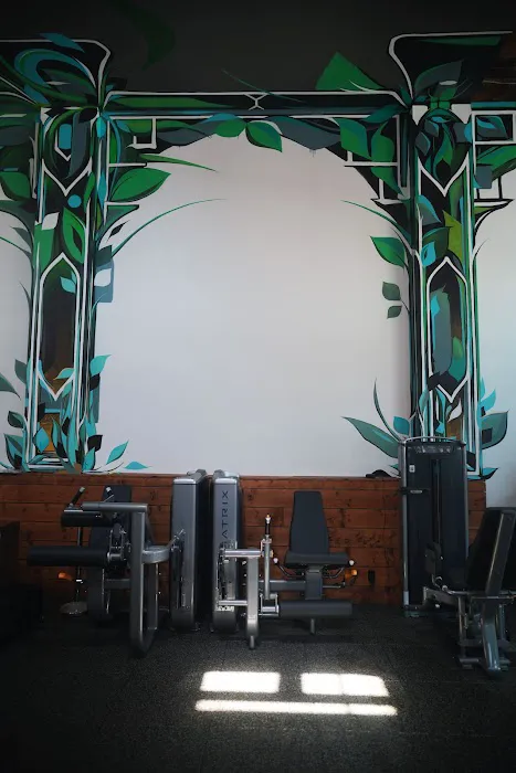 Live Fit Gym - Mission Picture 9