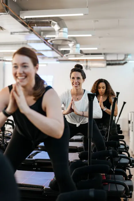 Lagree Fit 415 Picture 3