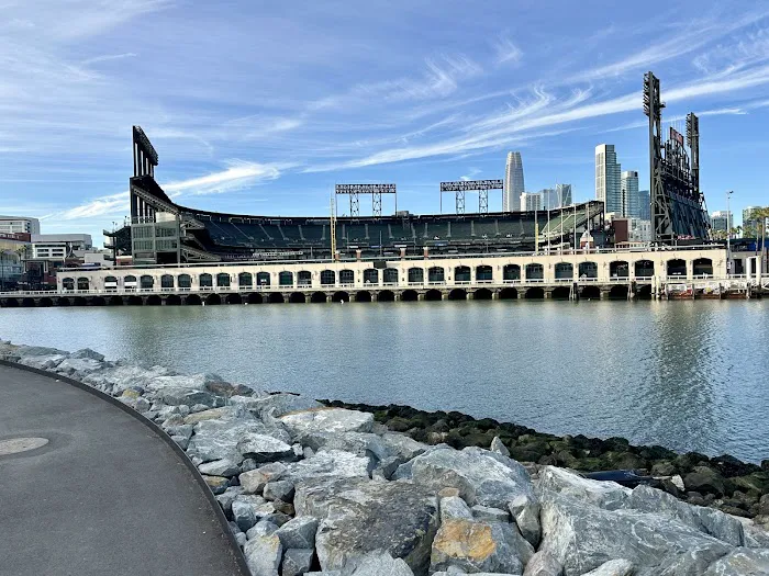 LuxFit Mission Rock Picture 2