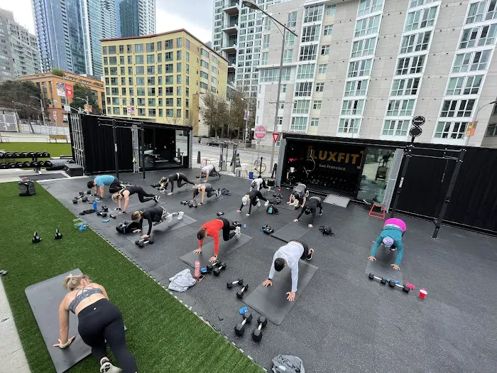 LuxFit Mission Rock Picture 10