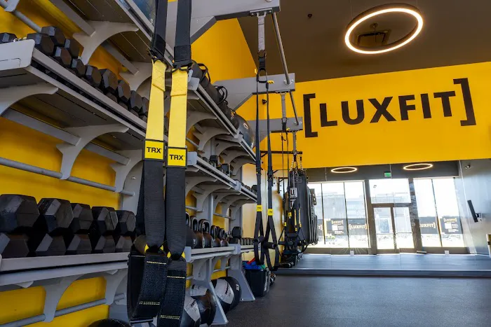 LuxFit Mission Rock Picture 4