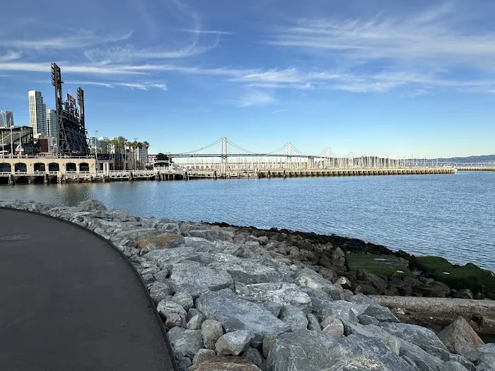 LuxFit Mission Rock Picture 9