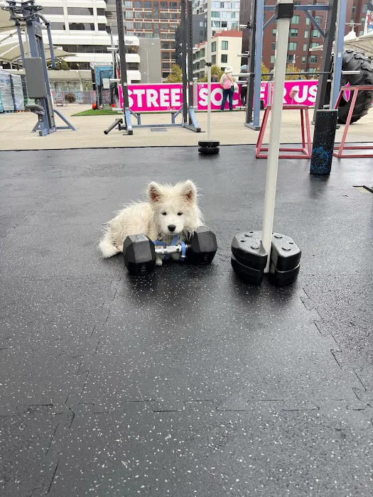 LuxFit Mission Rock Picture 8