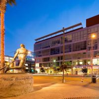 Flagship - Mission Bay ico