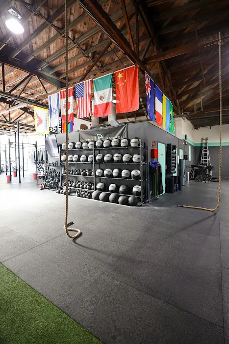 United Barbell Picture 7