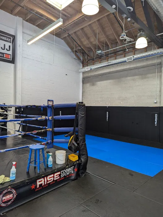 Rise Combat Sports Picture 3