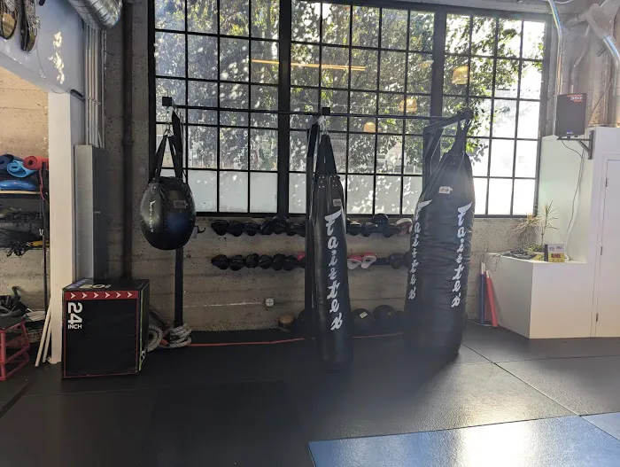 Rise Combat Sports Picture 4