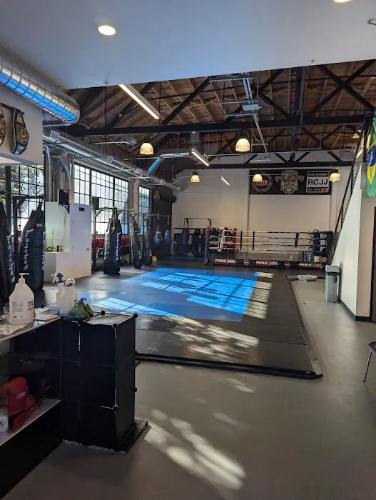 Rise Combat Sports Picture 1