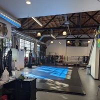 Rise Combat Sports ico