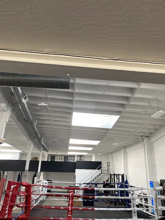 Woodenman Muay Thai Picture 5