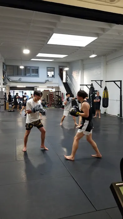 Woodenman Muay Thai Picture 6