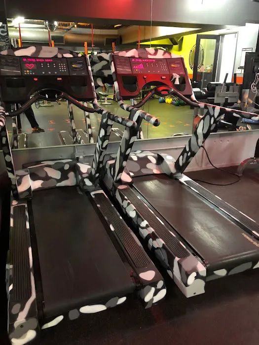 Body Mechanix Fitness Picture 2