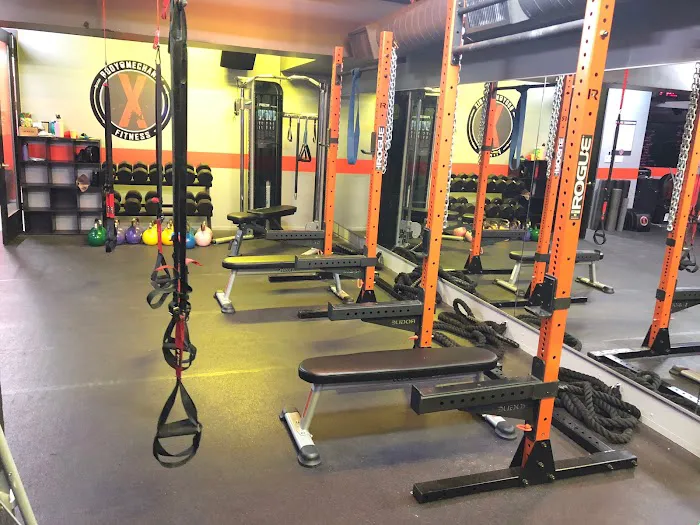 Body Mechanix Fitness Picture 7