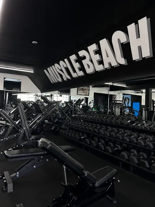 MuscleBeachSF Picture 4