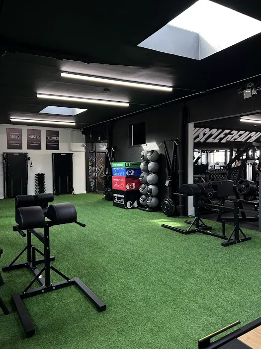 MuscleBeachSF Picture 8