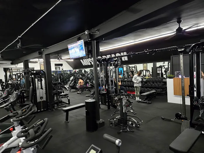 MuscleBeachSF Picture 1