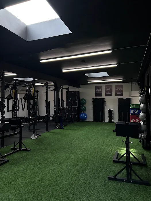 MuscleBeachSF Picture 5