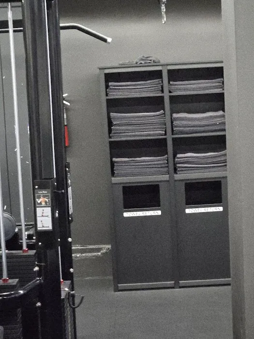 MuscleBeachSF Picture 7