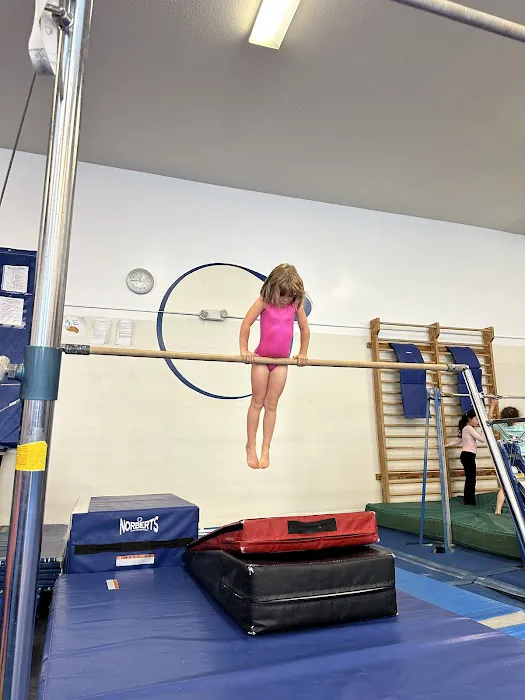 American Gymnastics Club Picture 2