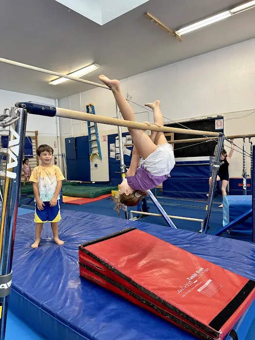American Gymnastics Club Picture 5