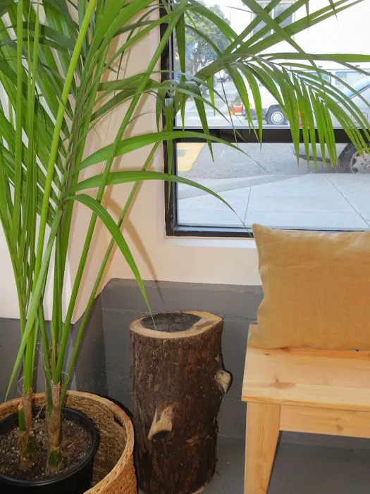 Yoga Beach Picture 4