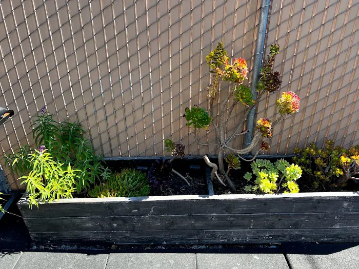 Pacifica Athletic Center Picture 1