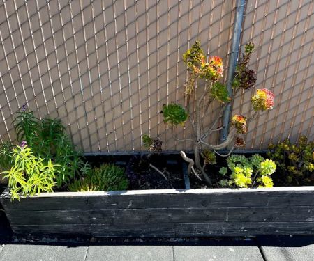 Pacifica Athletic Center