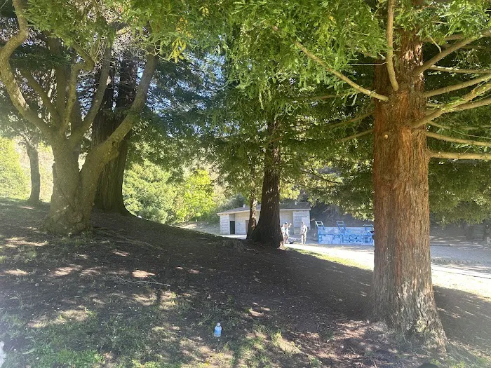 Fitness Court at Frontierland Park Picture 4