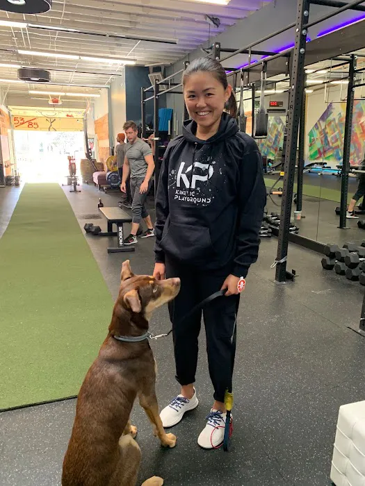 Kinetic Playground Picture 3