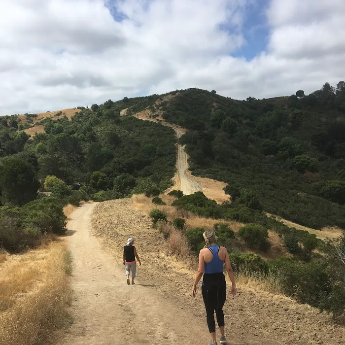 Kinetic Playground Picture 5