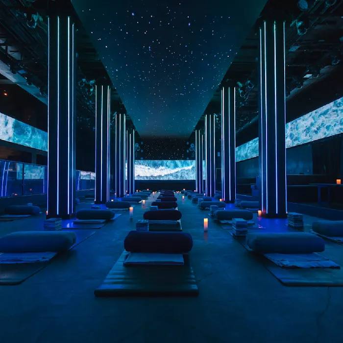 Zenses Immersive Picture 8