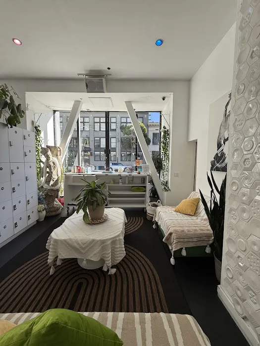 Zenses Immersive Picture 3