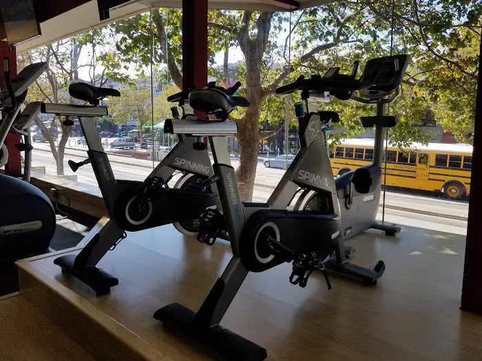 Alex Fitness Picture 5